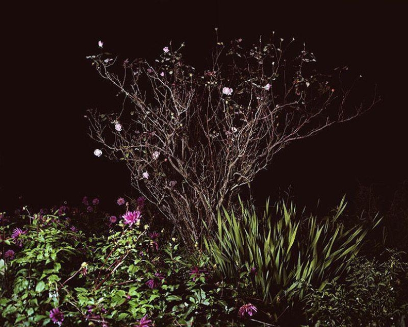 Discoteca rural en Español