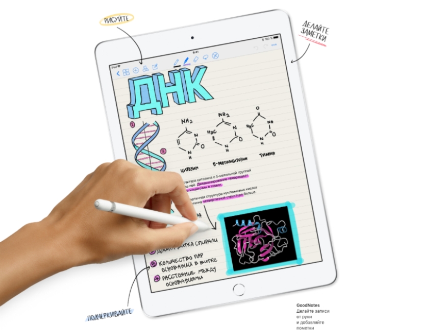 Diseccionar ranas y hacer la tarea en realidad virtual: lo que puede hacer el nuevo iPad para escolares Diseccionar ranas y hacer la tarea en realidad virtual: lo que puede hacer el nuevo iPad para escolares