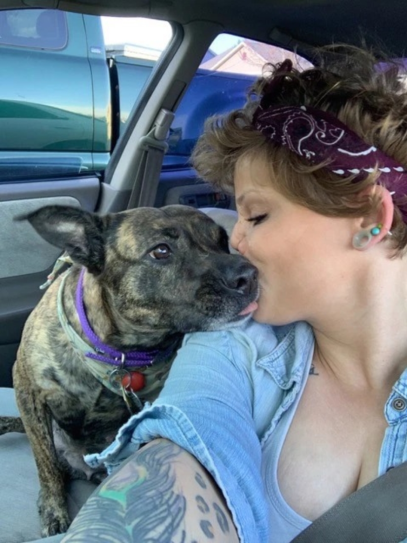 Disfigured love: a pit bull bit off a girl's nose, but she forgave him and continues to cuddle with dogs Disfigured love: a pit bull bit off a girl's nose, but she forgave him and continues to cuddle with dogs