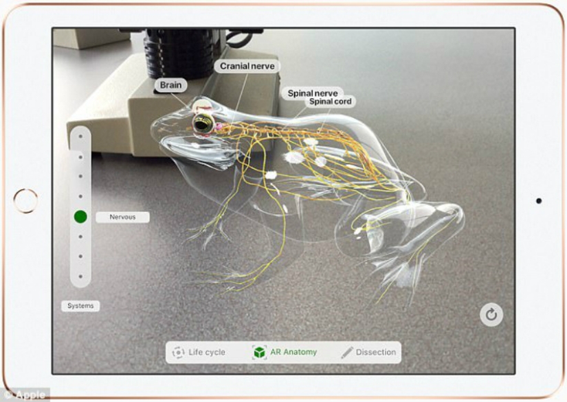 Dissect frogs and do homework in virtual reality: what the new iPad for schoolchildren can do Dissect frogs and do homework in virtual reality: what the new iPad for schoolchildren can do
