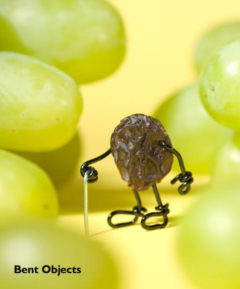 Divertidas aventuras de papel higiénico y sus amigos Divertidas aventuras de papel higiénico y sus amigos