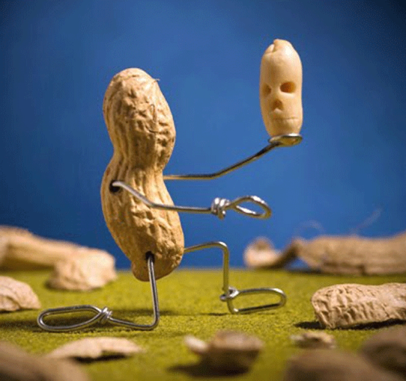 Divertidas aventuras de papel higiénico y sus amigos Divertidas aventuras de papel higiénico y sus amigos