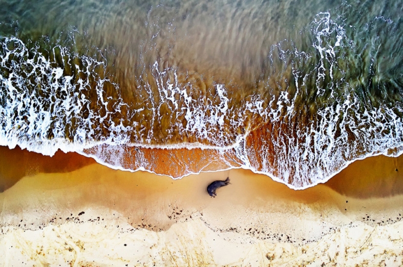 Dizzying: the best photos from the Drone Awards 2019