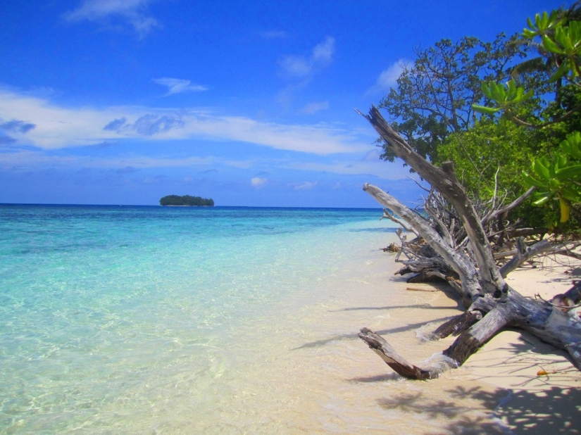 Dónde puedo escapar del frío invernal Dónde puedo escapar del frío invernal