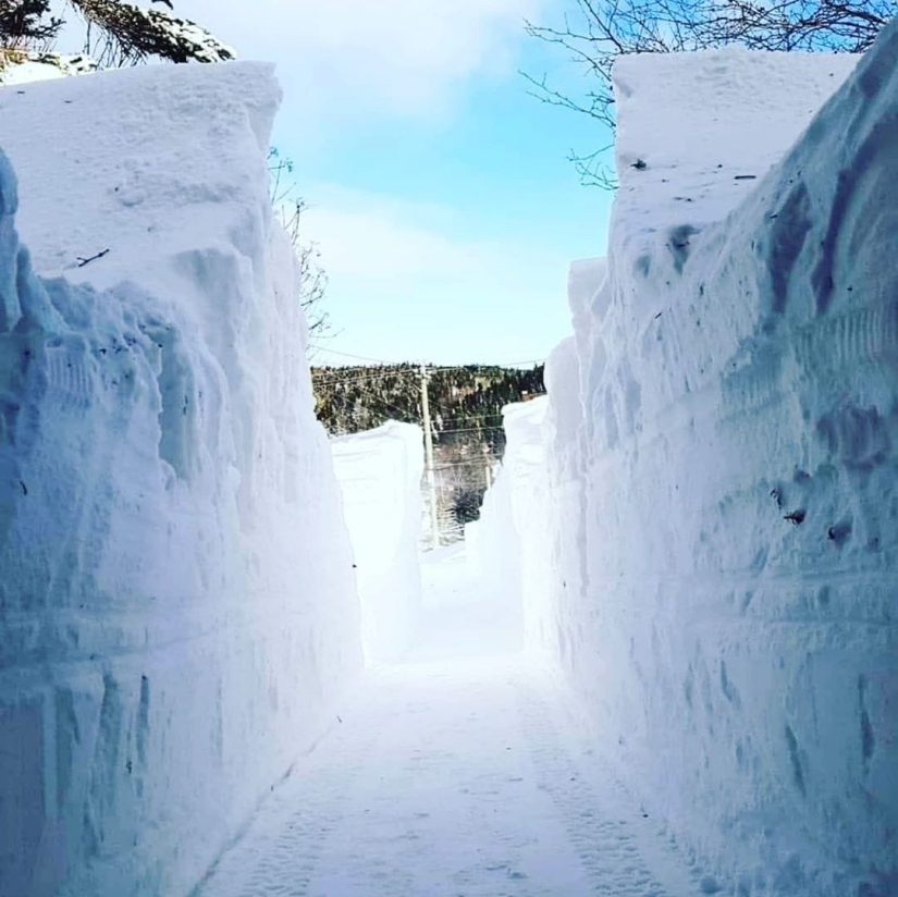 Do you miss the snow? 17 photos of snow-covered Canada and 1 amazing timelapse video
