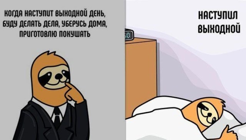 Do you recognize yourself? The author of the meme about the orange sloth continues to delight with his works about mother laziness