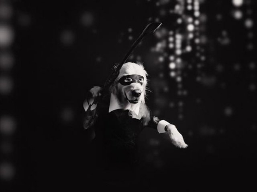 Dog Parodies Iconic Madonna Photos