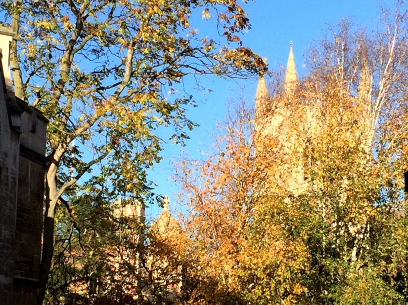 Doing homework at the fountain of the XIV century: one day in the life of a Cambridge student