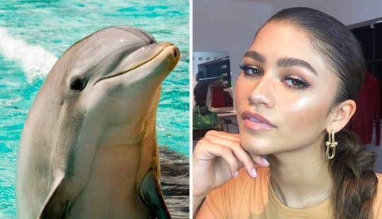 Dolphin skin: a new beauty trend from celebrities Dolphin skin: a new beauty trend from celebrities