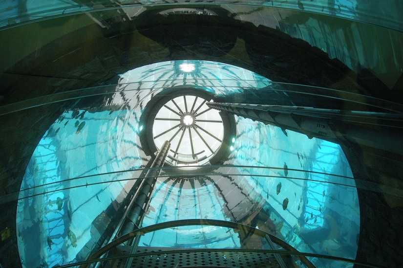 Dom Aquaree — a huge aquarium in Berlin's Radisson Blu Hotel