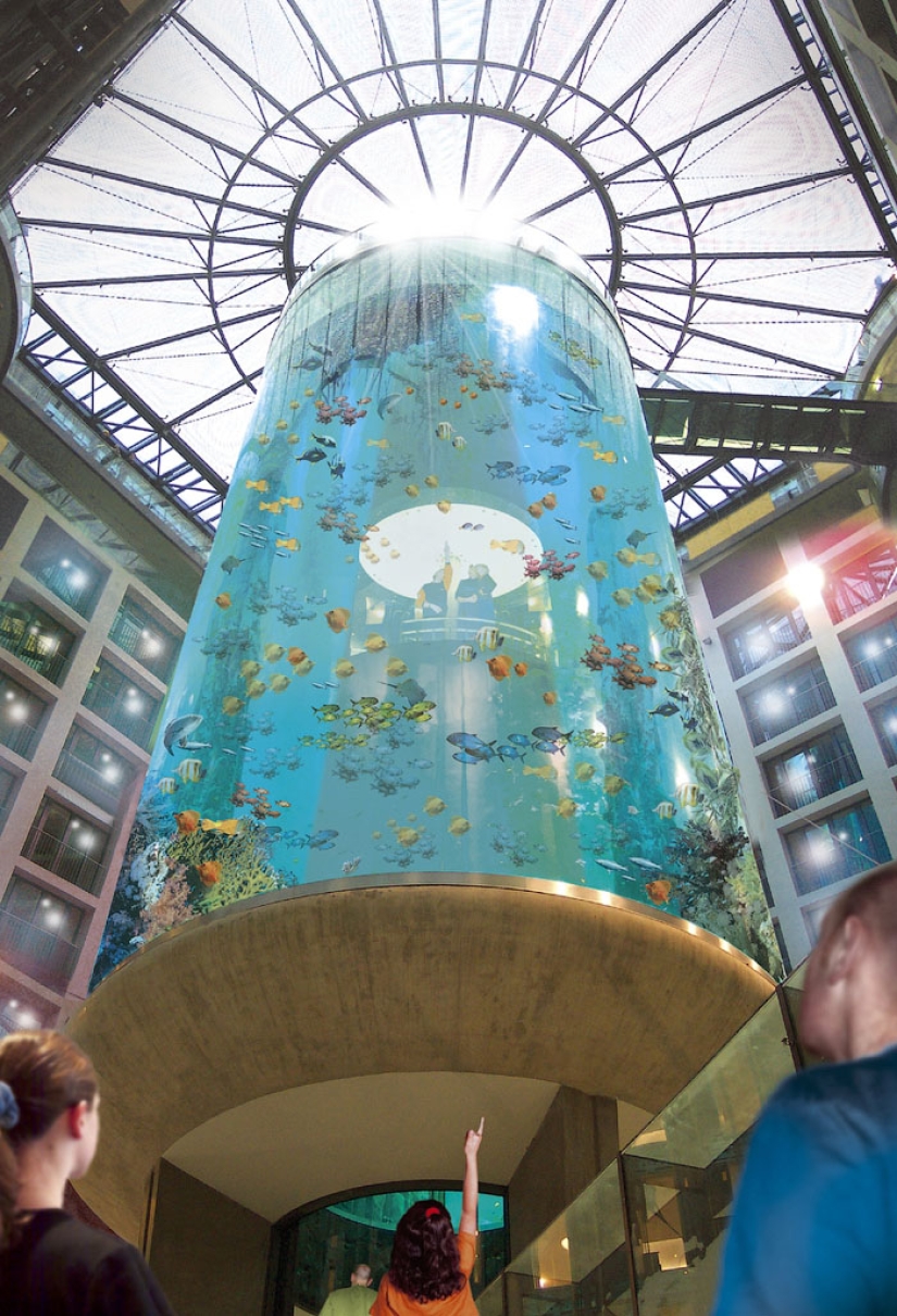 Dom Aquaree — a huge aquarium in Berlin's Radisson Blu Hotel