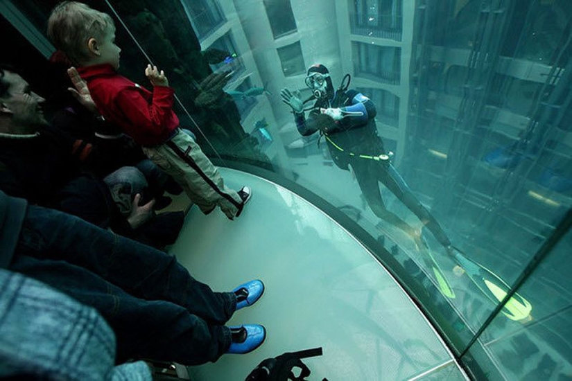 Dom Aquaree — a huge aquarium in Berlin's Radisson Blu Hotel
