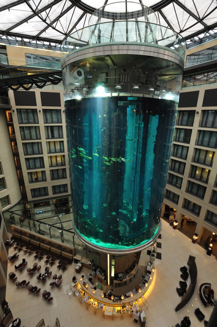 Dom Aquaree — a huge aquarium in Berlin's Radisson Blu Hotel
