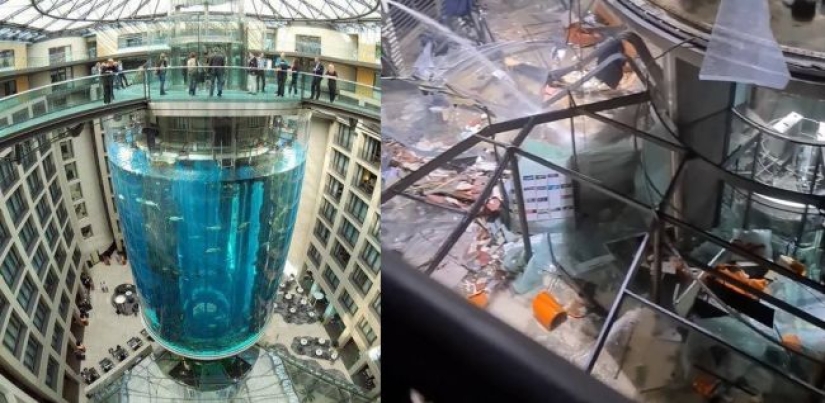 Dom Aquaree - un enorme acuario en el Hotel Radisson Blu de Berlín Dom Aquaree - un enorme acuario en el Hotel Radisson Blu de Berlín