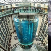 Dom Aquaree - un enorme acuario en el Hotel Radisson Blu de Berlín