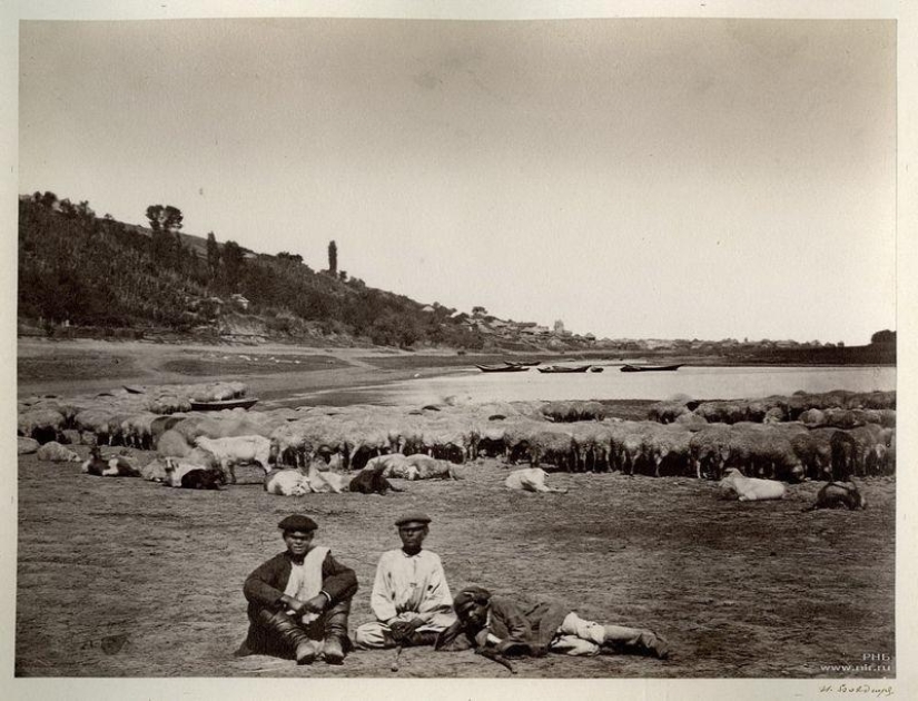 Donskoy album by Ivan Vasilyevich Boldyrev