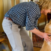 Don't watch for the faint of heart: This website warns if a dog will die in the movie