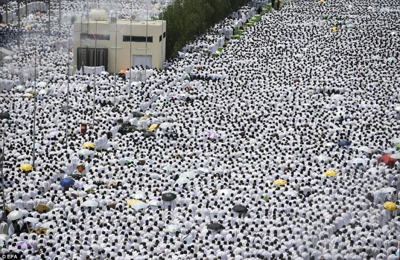 Dos millones de musulmanes se reunieron en el Monte Arafat para la culminación del Hajj