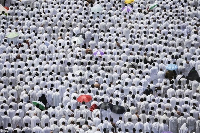 Dos millones de musulmanes se reunieron en el Monte Arafat para la culminación del Hajj