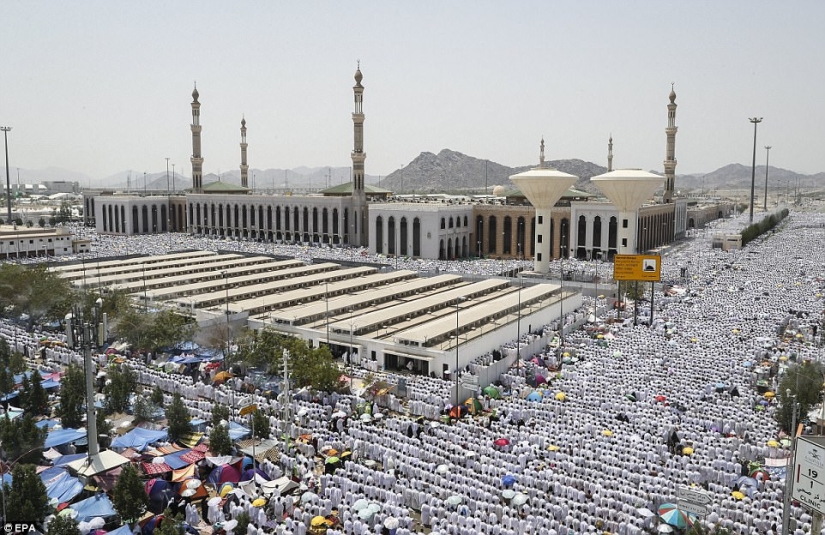Dos millones de musulmanes se reunieron en el Monte Arafat para la culminación del Hajj