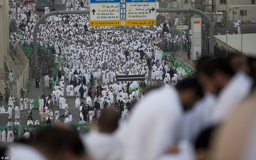 Dos millones de musulmanes se reunieron en el Monte Arafat para la culminación del Hajj