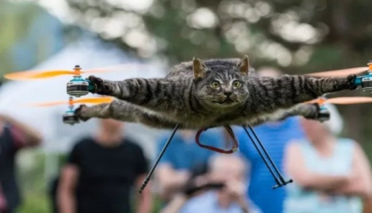 Drones de animales muertos — una extraña startup de los Países Bajos Drones de animales muertos — una extraña startup de los Países Bajos