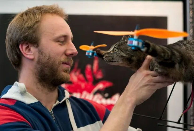 Drones from dead animals — a strange startup from the Netherlands Drones from dead animals — a strange startup from the Netherlands