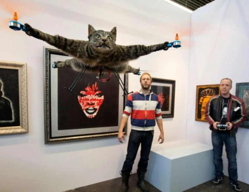 Drones from dead animals — a strange startup from the Netherlands