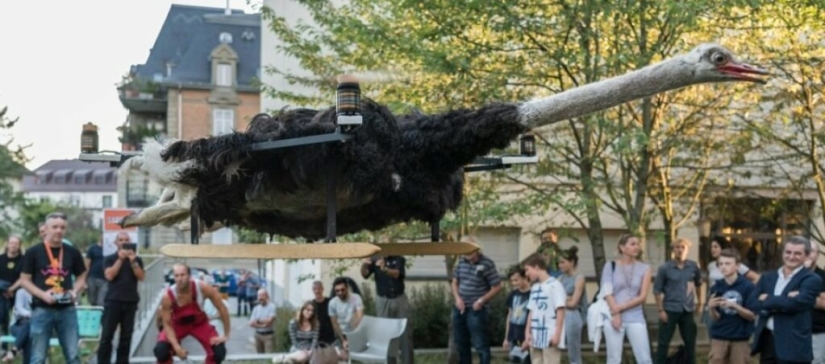 Drones from dead animals — a strange startup from the Netherlands Drones from dead animals — a strange startup from the Netherlands