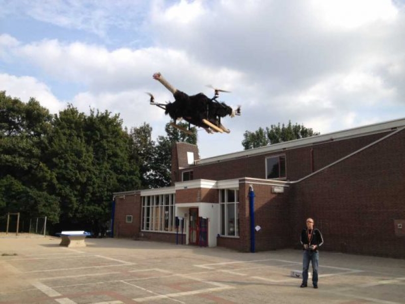 Drones from dead animals — a strange startup from the Netherlands Drones from dead animals — a strange startup from the Netherlands