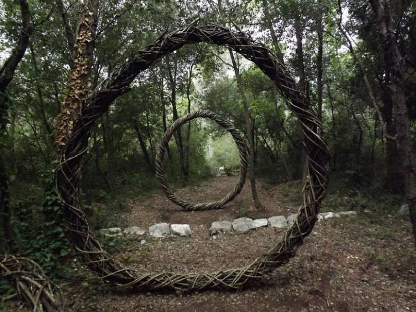 Durante un año de vida en el bosque, Spencer Biles lo convirtió en un cuento de hadas Durante un año de vida en el bosque, Spencer Biles lo convirtió en un cuento de hadas