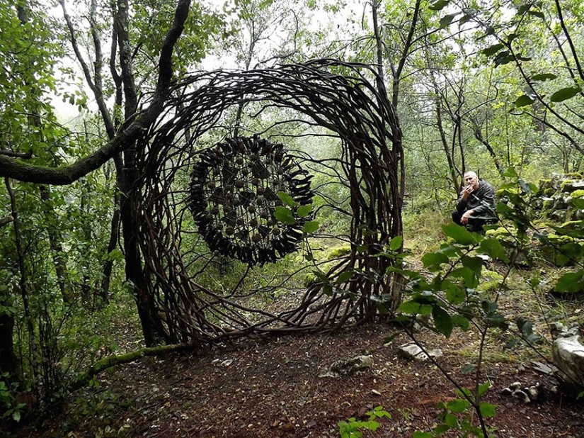 During a year of living in the forest, Spencer Biles turned it into a fairy tale