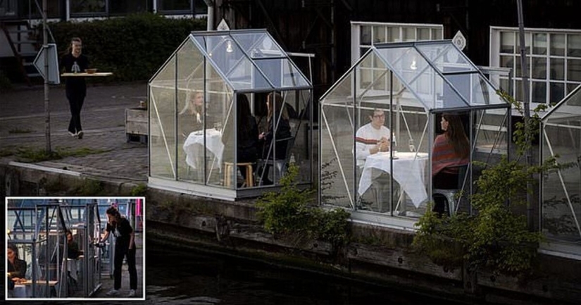 Dutch restaurant planted visitors to have dinner in greenhouses