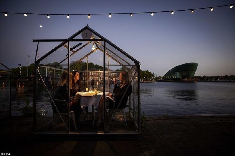 Dutch restaurant planted visitors to have dinner in greenhouses