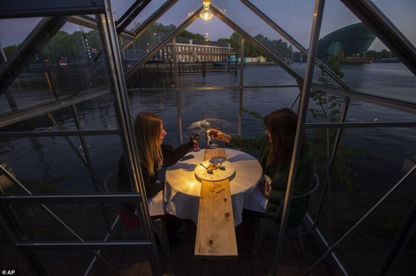 Dutch restaurant planted visitors to have dinner in greenhouses