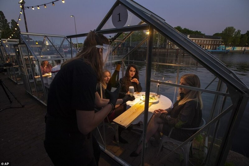 Dutch restaurant planted visitors to have dinner in greenhouses