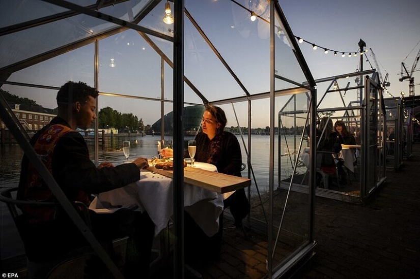 Dutch restaurant planted visitors to have dinner in greenhouses