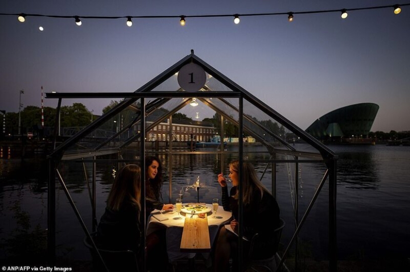 Dutch restaurant planted visitors to have dinner in greenhouses