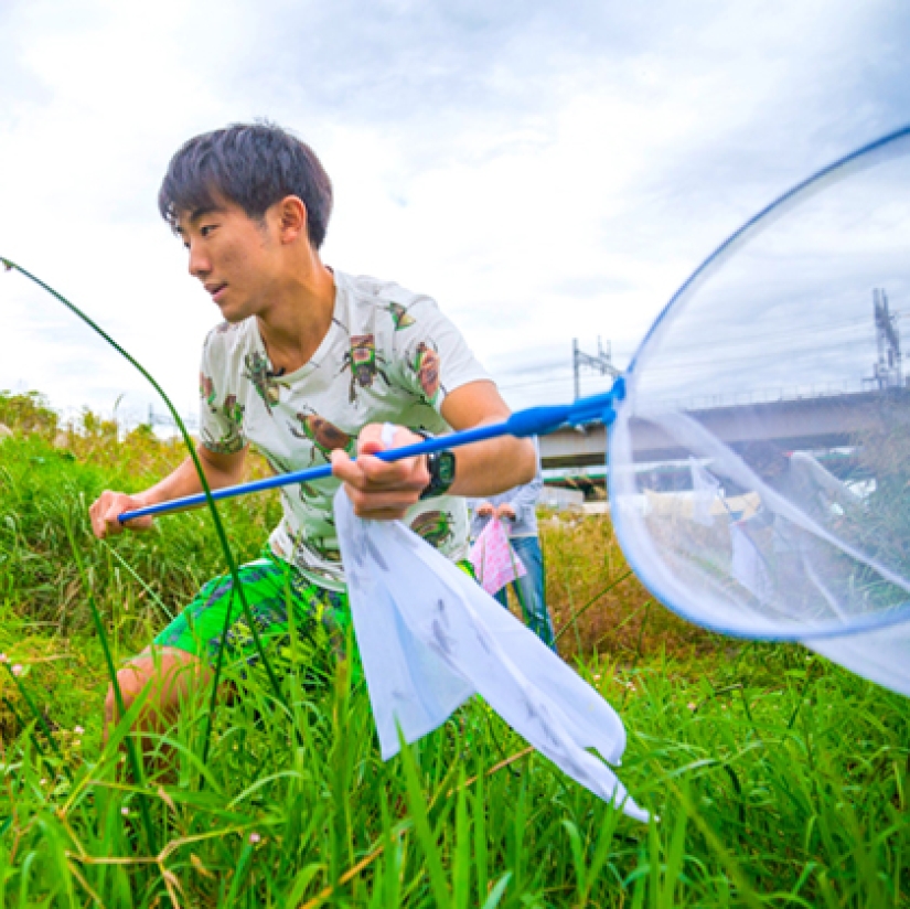 El amor es malvado: un hombre japonés contó su aventura con una cucaracha hembra El amor es malvado: un hombre japonés contó su aventura con una cucaracha hembra