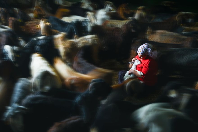 El amor está en el aire: las mejores fotos del concurso Ágora #Love2020 El amor está en el aire: las mejores fotos del concurso Ágora #Love2020