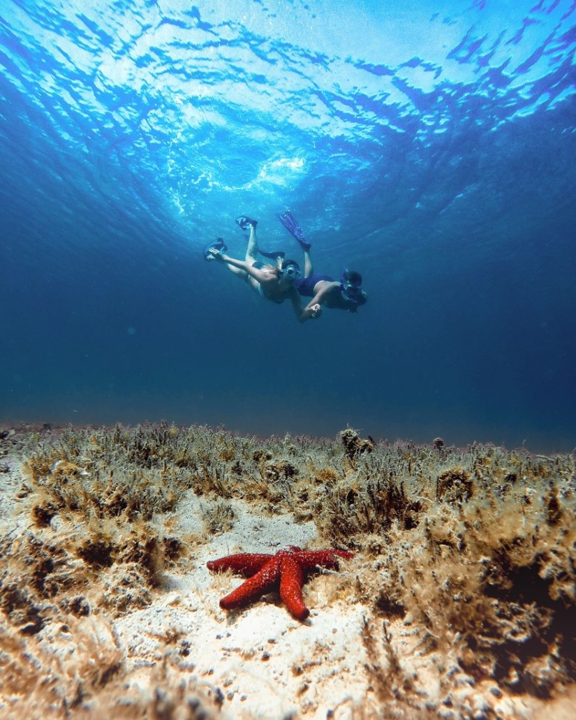 El amor está en el aire: las mejores fotos del concurso Ágora #Love2020 El amor está en el aire: las mejores fotos del concurso Ágora #Love2020