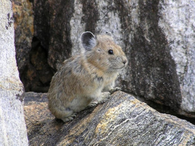 El calentamiento global se puede ver. 8 signos