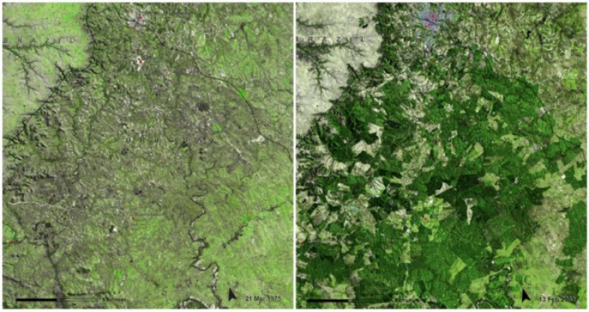 El Cambio Climático Global en las fotos de la NASA: Antes y Después El Cambio Climático Global en las fotos de la NASA: Antes y Después