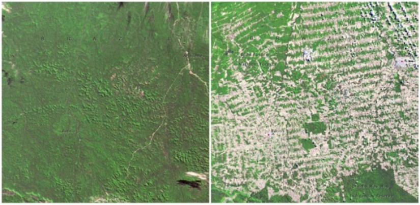 El Cambio Climático Global en las fotos de la NASA: Antes y Después El Cambio Climático Global en las fotos de la NASA: Antes y Después