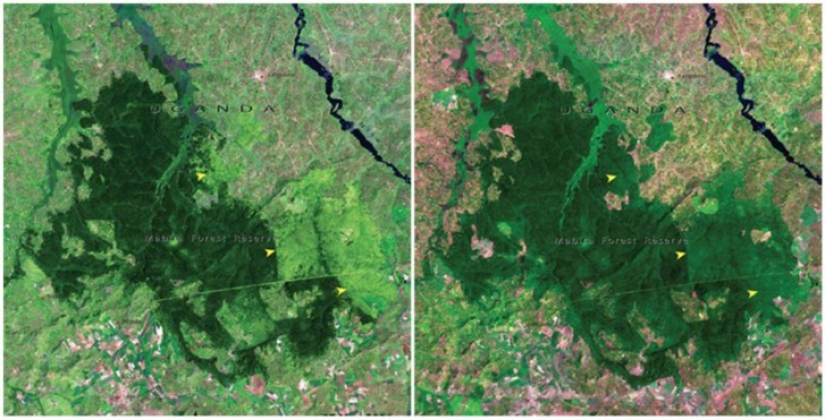 El Cambio Climático Global en las fotos de la NASA: Antes y Después El Cambio Climático Global en las fotos de la NASA: Antes y Después