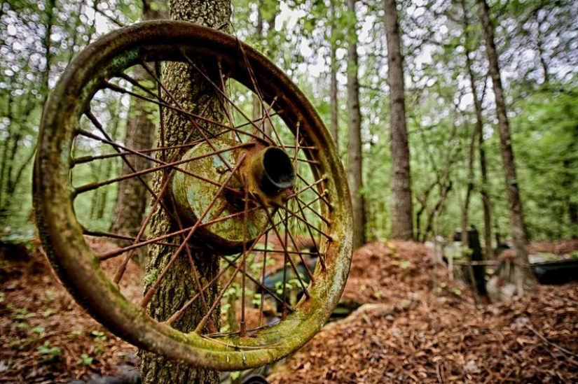 El cementerio de coches viejos más grande del mundo