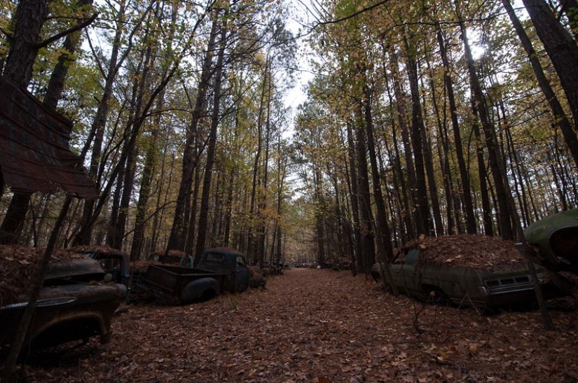 El cementerio de coches viejos más grande del mundo