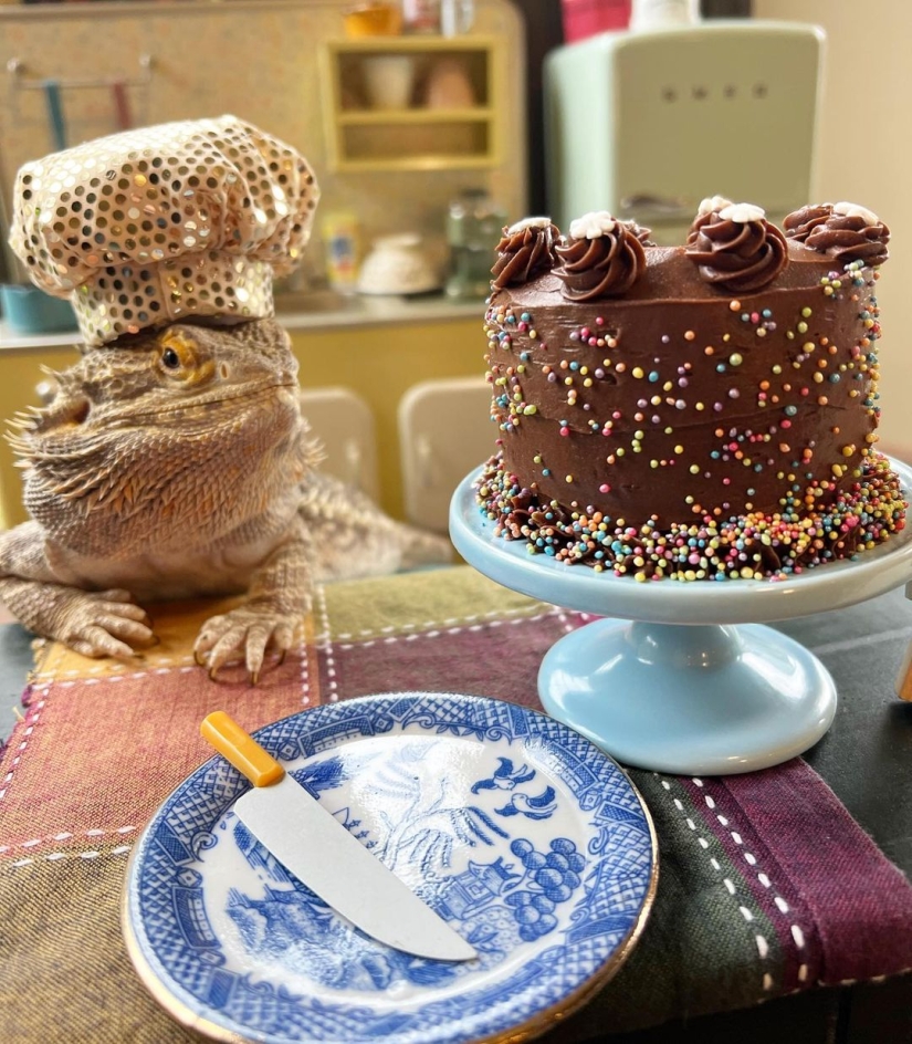 El chef lagarto Lenny the Lizard es una estrella de las redes sociales y autor de libros de cocina El chef lagarto Lenny the Lizard es una estrella de las redes sociales y autor de libros de cocina