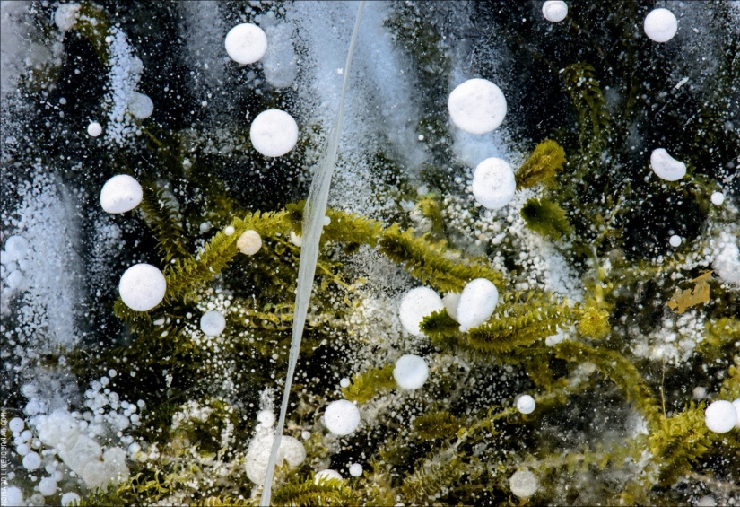 El cuento de hadas del helado Baikal — un viaje a través del Pequeño Mar El cuento de hadas del helado Baikal — un viaje a través del Pequeño Mar