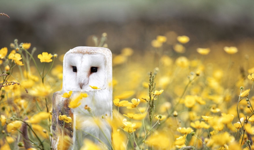 El diseñador hace animales al estilo de Minecraft. El diseñador hace animales al estilo de Minecraft.